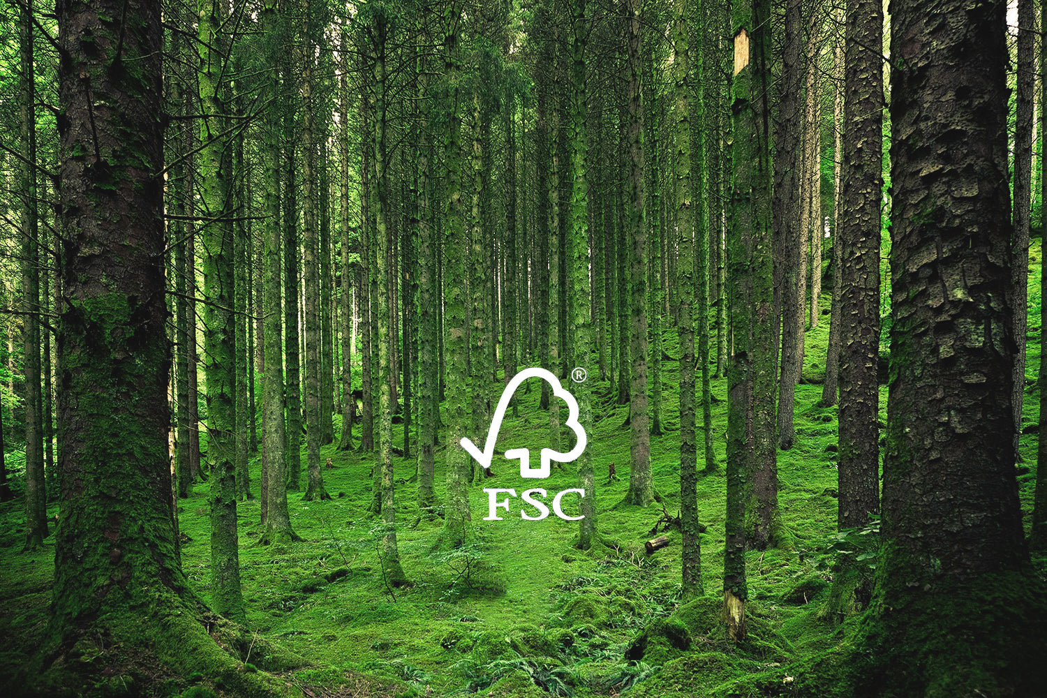 <p>FSC Tischplatte</p>