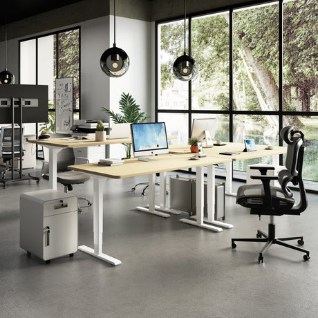 Maidesite oder Desktronic – Welcher elektrisch höhenverstellbare Schreibtisch ist die beste?