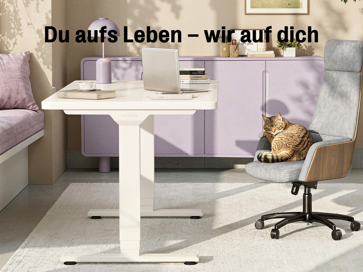Maidesite T2 Plus Elektrisch Höhenverstellbarer Schreibtisch
