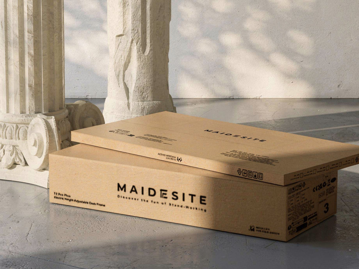 Maidesite T2 Plus Elektrisch Höhenverstellbarer Schreibtisch