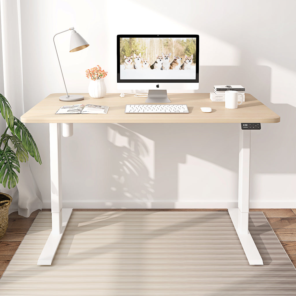 Maidesite S1 Basic - Elektrisch Höhenverstellbarer Schreibtisch 120x60 cm