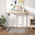 Maidesite S1 Basic - Elektrisch Höhenverstellbarer Schreibtisch 120x60 cm