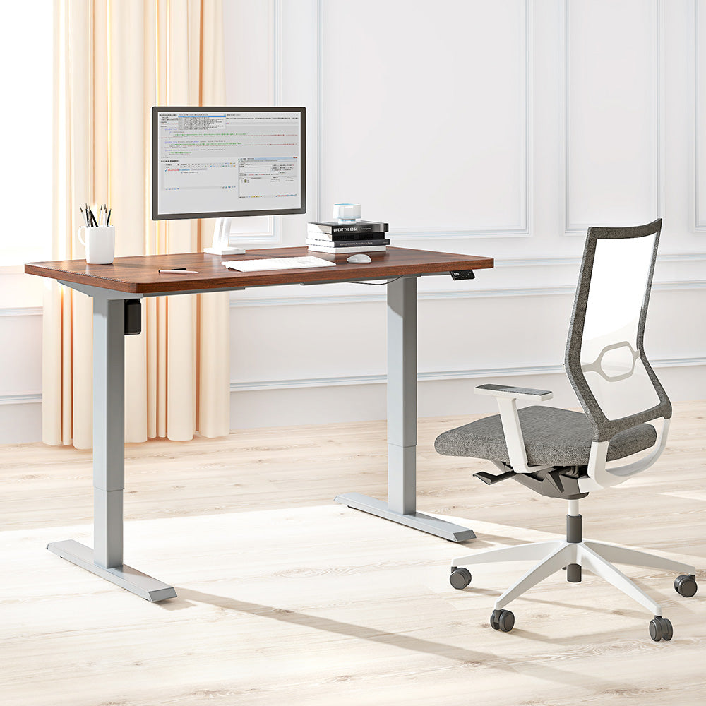 Maidesite S1 Basic - Elektrisch Höhenverstellbarer Schreibtisch 120x60 cm
